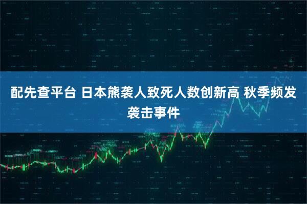 配先查平台 日本熊袭人致死人数创新高 秋季频发袭击事件