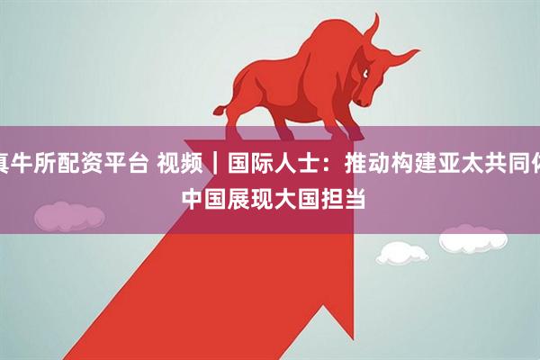 真牛所配资平台 视频｜国际人士：推动构建亚太共同体 中国展现大国担当