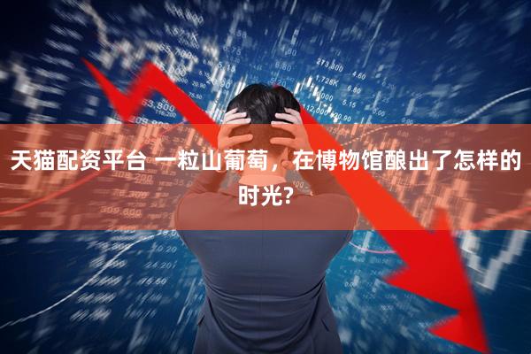 天猫配资平台 一粒山葡萄，在博物馆酿出了怎样的时光?