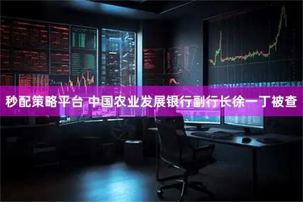 秒配策略平台 中国农业发展银行副行长徐一丁被查