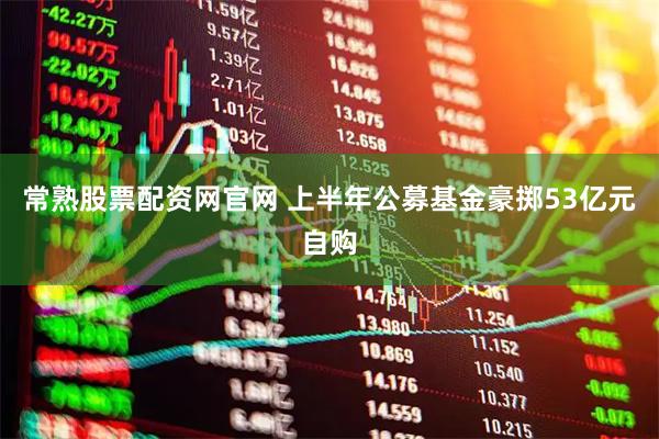 常熟股票配资网官网 上半年公募基金豪掷53亿元自购