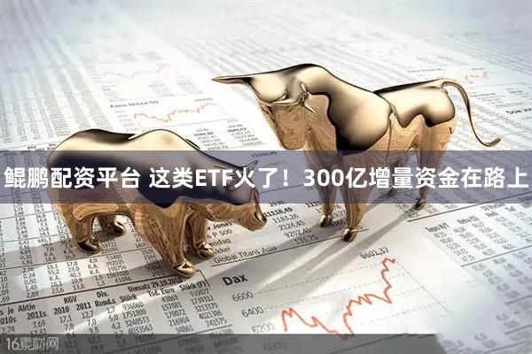鲲鹏配资平台 这类ETF火了！300亿增量资金在路上