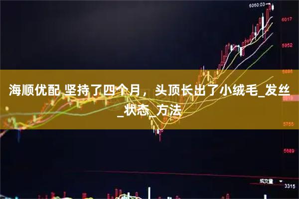 海顺优配 坚持了四个月，头顶长出了小绒毛_发丝_状态_方法
