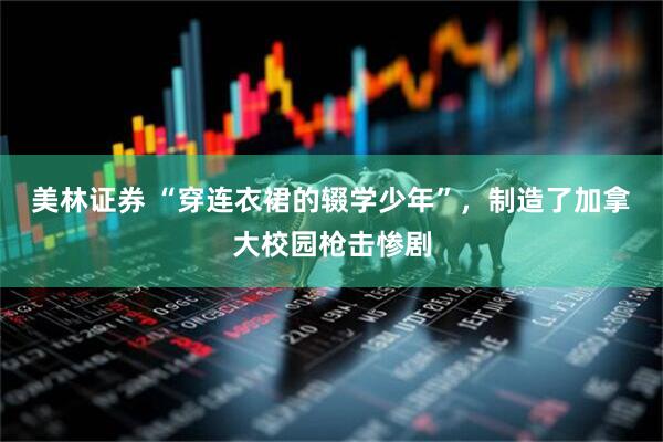 美林证券 “穿连衣裙的辍学少年”，制造了加拿大校园枪击惨剧