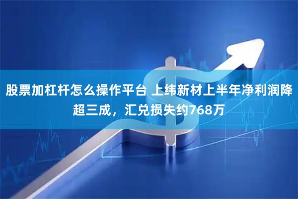 股票加杠杆怎么操作平台 上纬新材上半年净利润降超三成，汇兑损失约768万